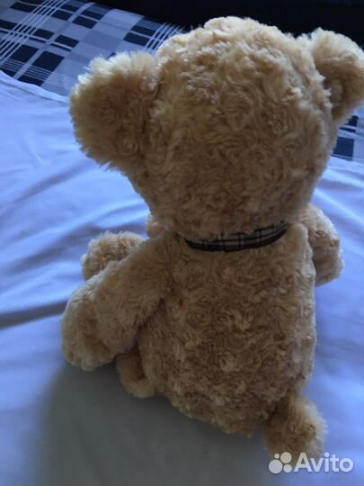 Плюшевый медведь