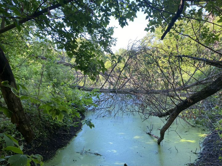 Дом 139,6 м² на участке 8,5 сот.