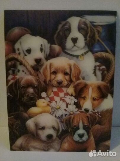 Виниловые картинки на магните