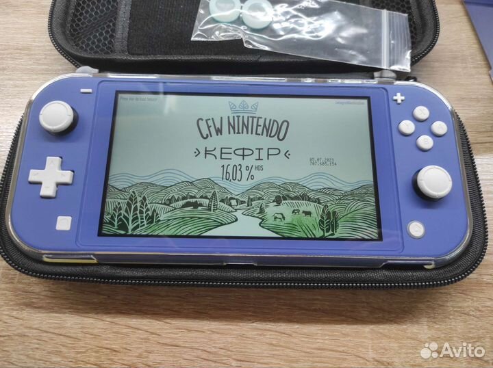 Nintendo switch lite прошитая