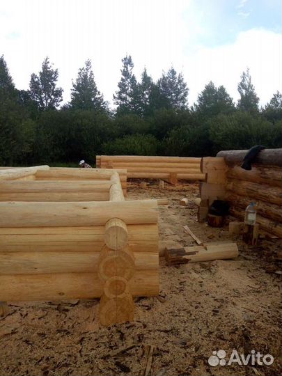 Срубы, домов и бань любых размеров