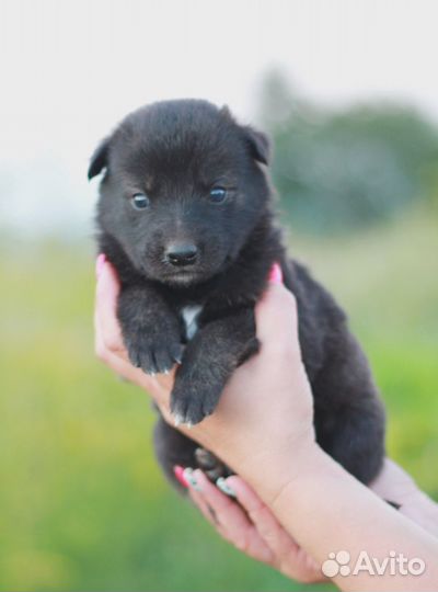 Девочка ждет семью