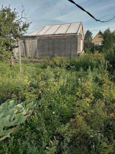 Участок 9,8 сот. (ИЖС)