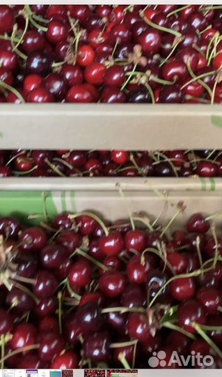 Черешня оптом и можно договорится в цене