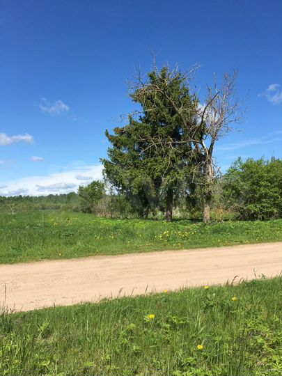 Участок 31 сот. (ИЖС)