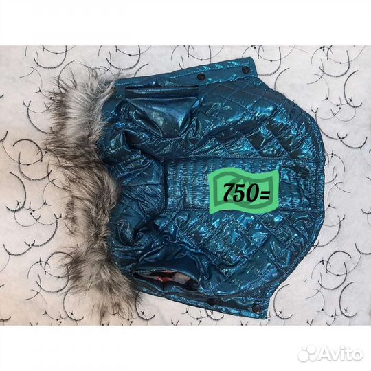 Новые комбинезоны для собак