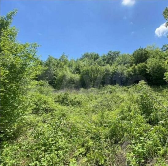 Участок 8,2 сот. (ИЖС)