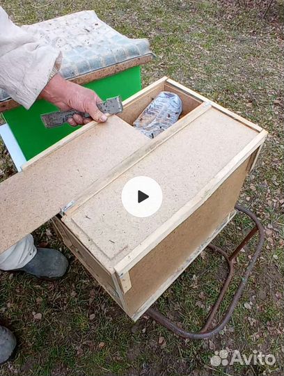 Улей с пчелами