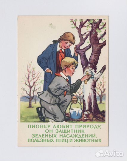 Законы юных пионеров 1960 Соловьев Талашенко дети
