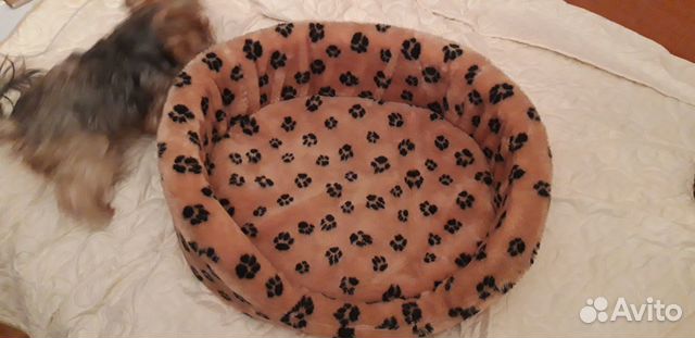 Лежанка для собак