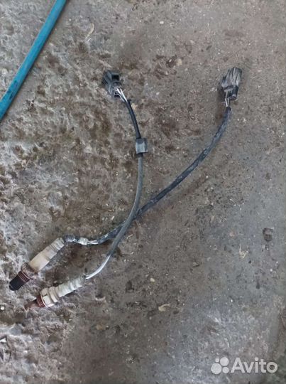 Датчик кислорода Focus 1 USA