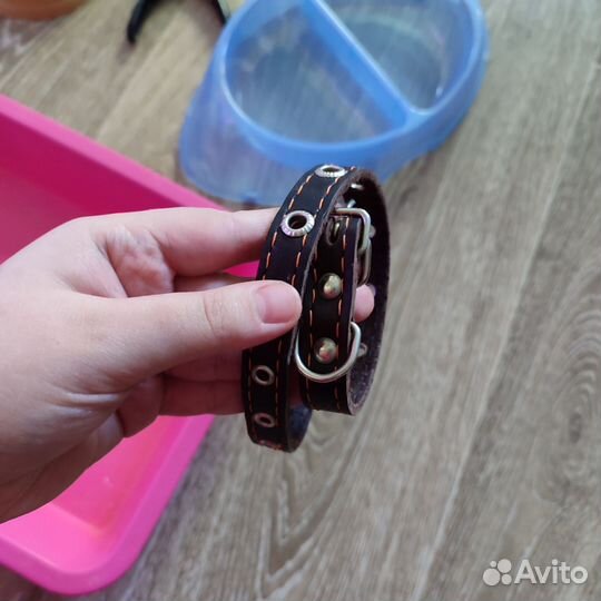 Товары для животных