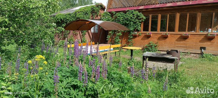 Сдаю дачу в уютном уголке природы