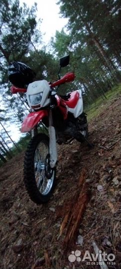 Irbis TTR 250 R