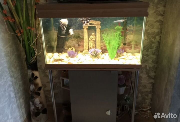 Аквариум с тумбой