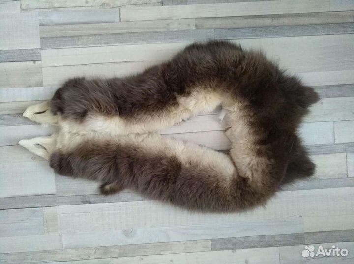 Воротник песец