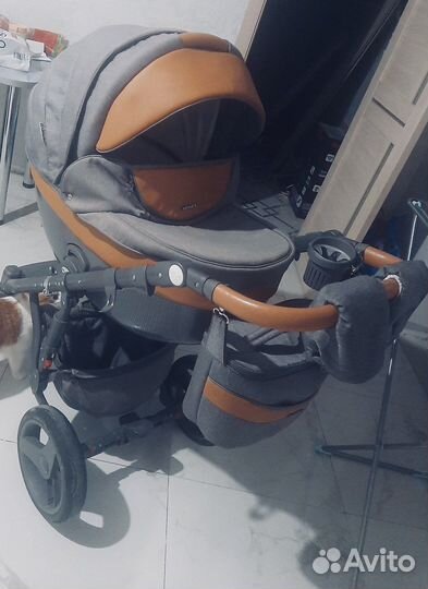 Коляска Adamex monte carbon 2 в 1