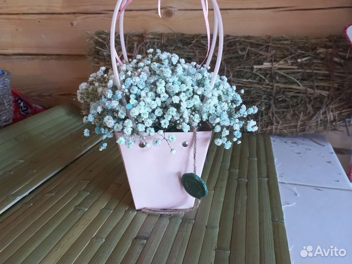 Композиции с гипсофилой