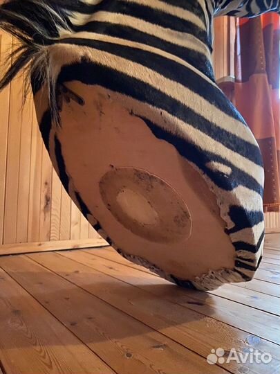 Чучело животного