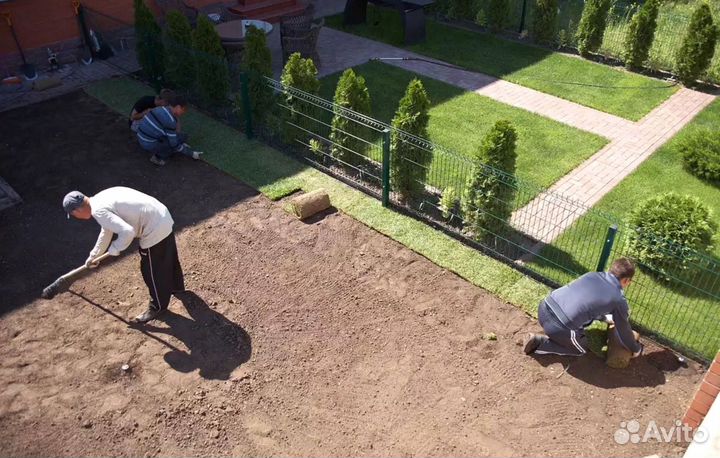 Рулонный газон. Укладка + Автополив