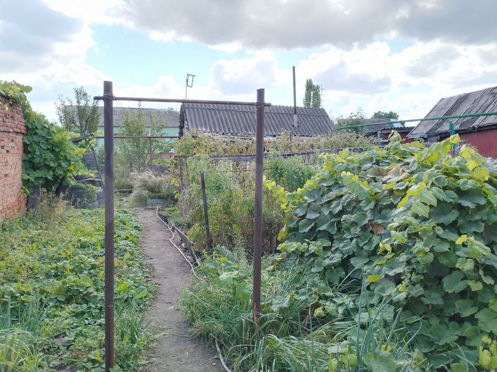 Дом 50 м² на участке 4 сот.