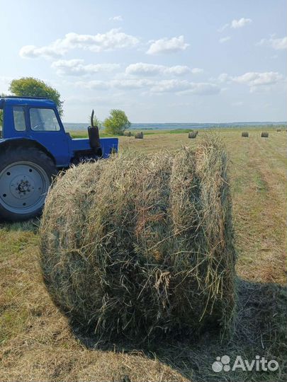 Сено в рулонах 2023