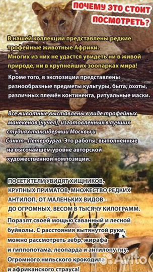 Экскурсия. Выставка- музей 