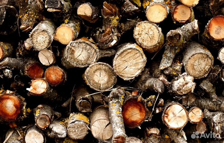 Дрова высокой теплоотдачи