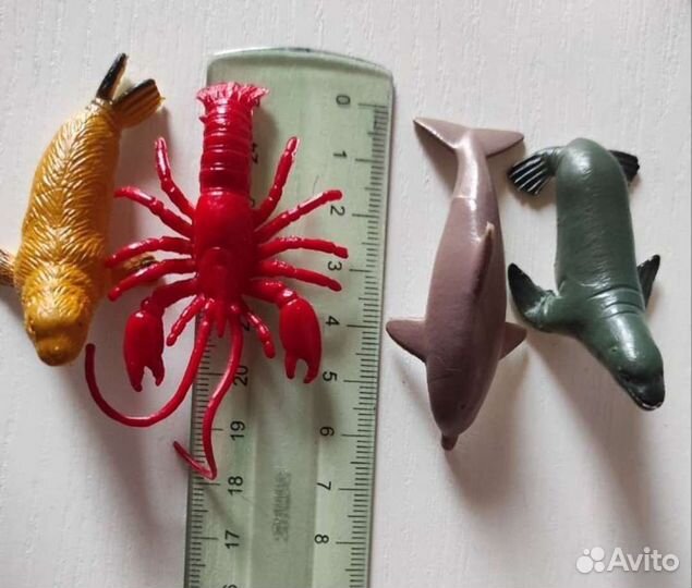 Набор морских животных