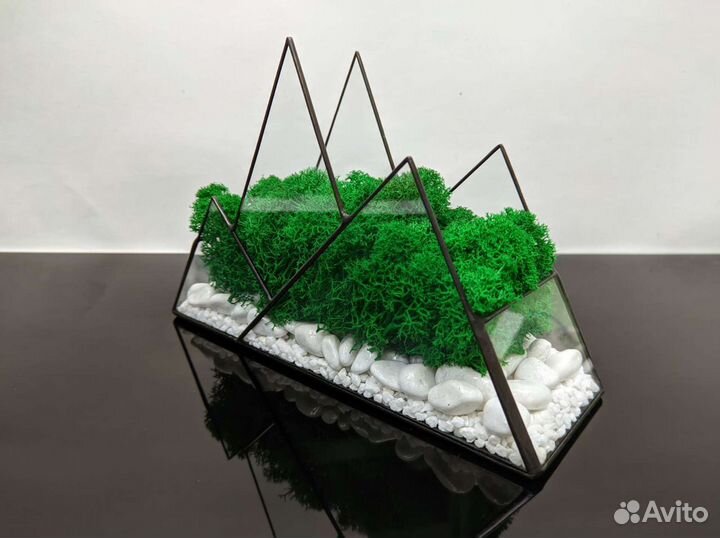Флорариум со мхом