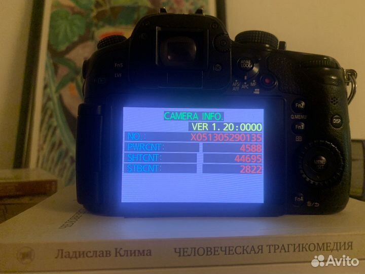 Камера Panasonic Lumix gh3