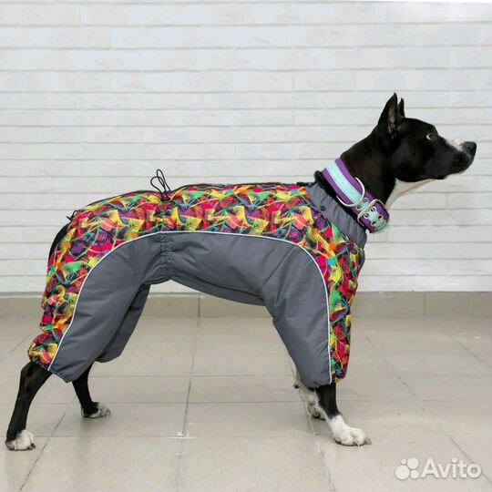 Одежда для собак в наличии и на заказ