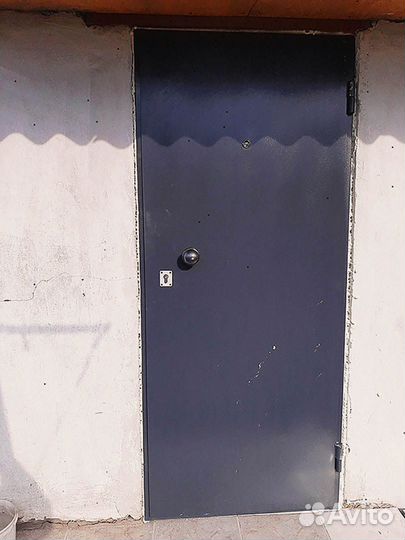 Дверь из стали