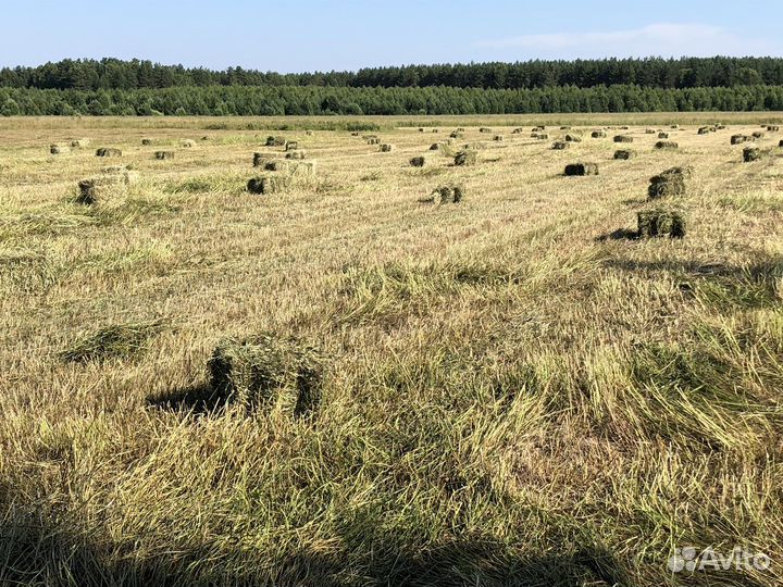 Сено в кипах. Доставка