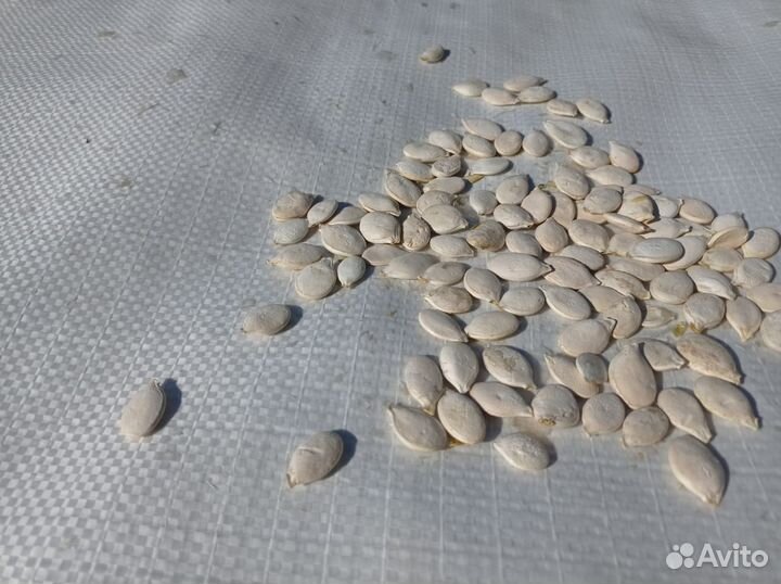 Тыквенные семечки