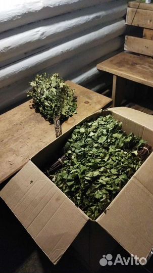 Березовые веники