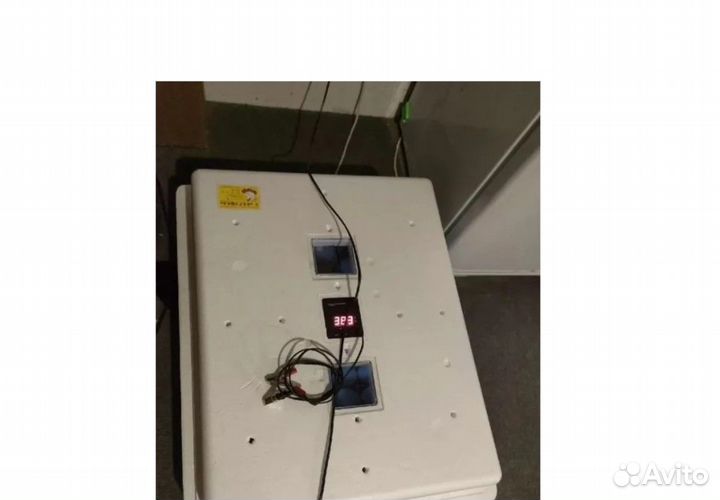 Инкубатор для вывода яиц