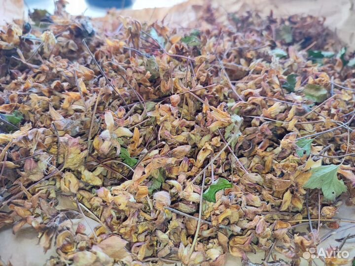 Чашелистики морошки