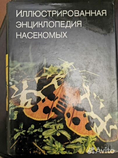 Книги Альбомы с Красочными Иллюстрациями