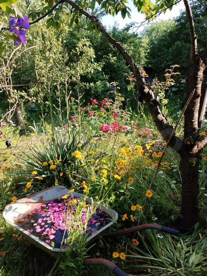 Дом 70 м² на участке 10 сот.