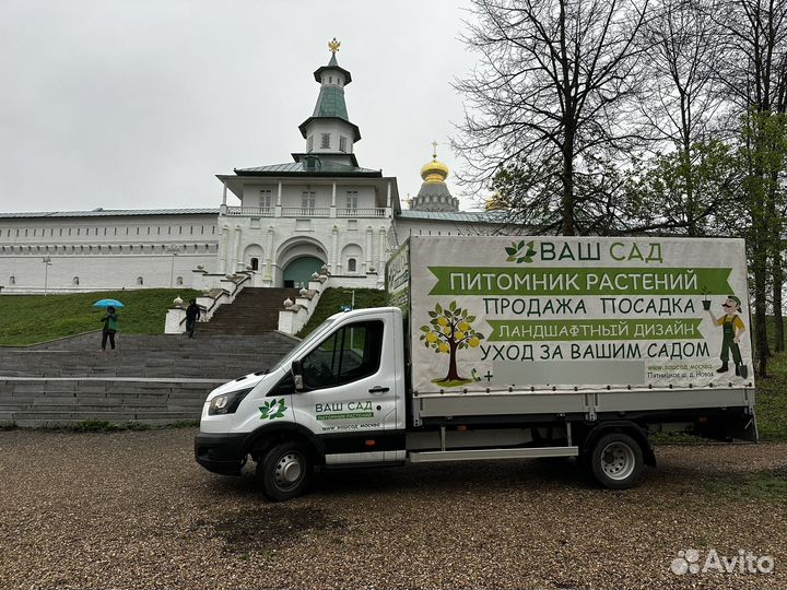 Ford Transit тентованный, 2022