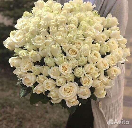 Розы Букеты Цветы Розы 31 101 151 201 Доставка