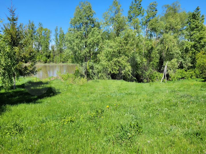 Участок 40 сот. (ИЖС)