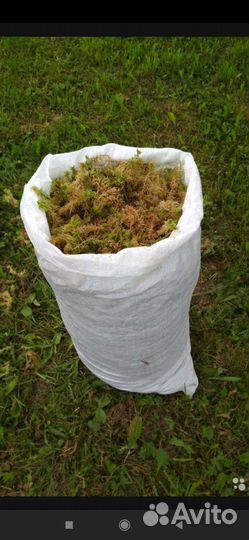 Мох сфагнум(в мешках)