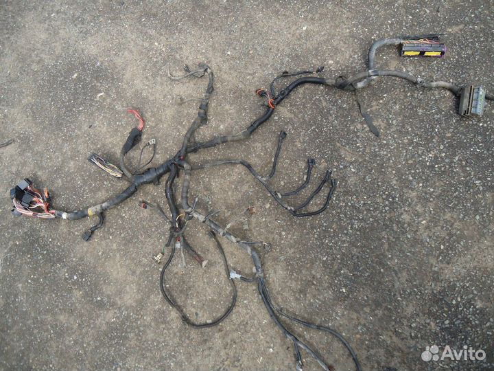 Электропроводка моторного отсека (Nissan Almera)