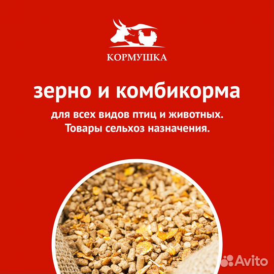 Кормушка для птицы подвесная на 4 кг