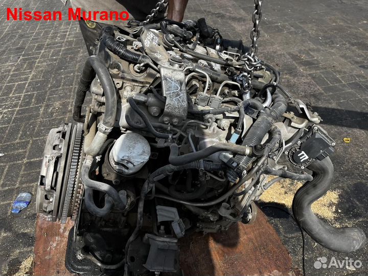 Двигатель YD25ddti Nissan Murano