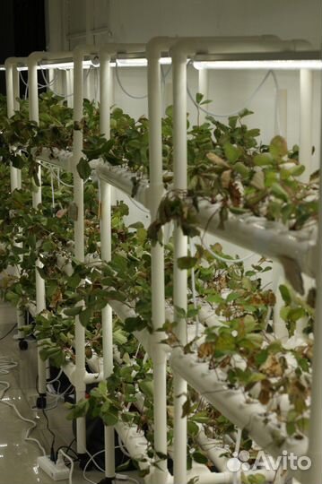 Прибыльный бизнес