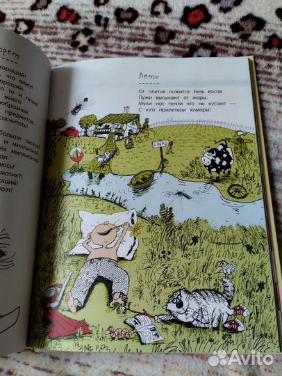 Книга. Игорь Шевчук 