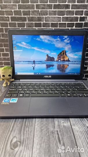 Нетбук Asus 11.6 Hd
